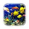 Real Aquarium Live Wallpaper