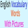 English Vocabulary: Charts, Ta