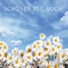 Schönen Tag Bilder