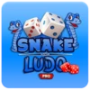 Snake &amp; Ludo Pro