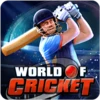 World Of Cricket