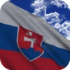 Slovakia Flag