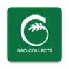 GSO Collects