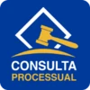 Consulta Processual